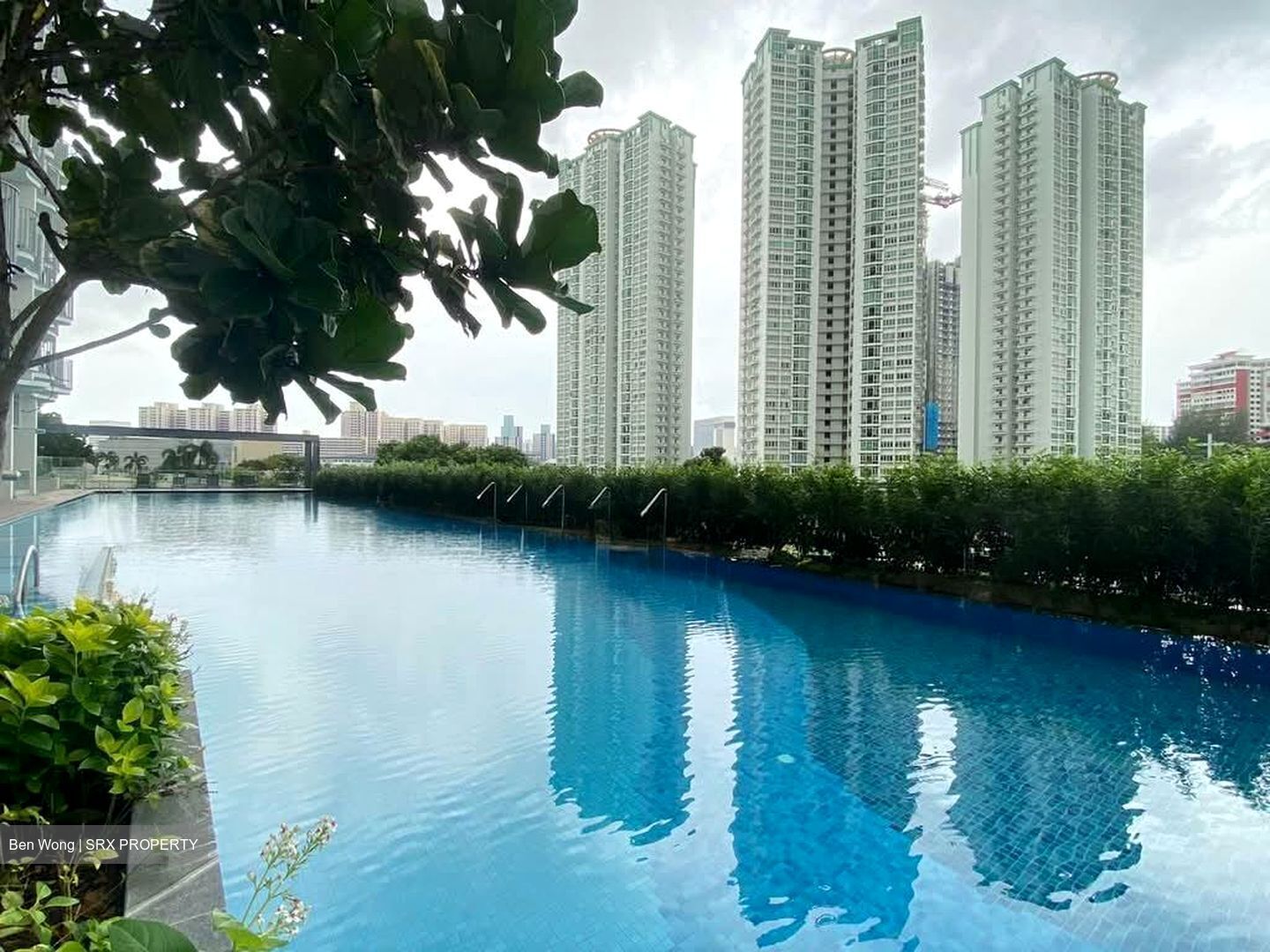 Queens Peak (D3), Condominium #557502211